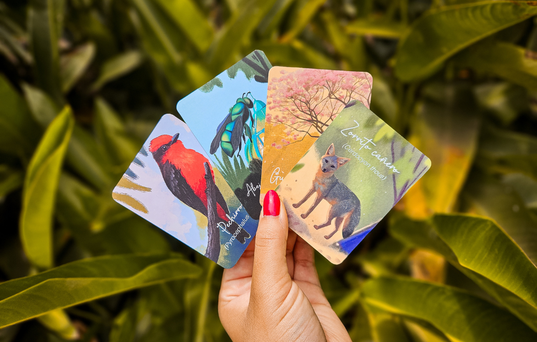 Cartas colecciobales Javeriana Biodiversa 2025