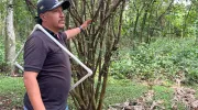 Tesos por el Ambiente: formando líderes ambientales desde experiencias vivenciales Tesos por el Ambiente: formando líderes ambientales desde experiencias vivenciales