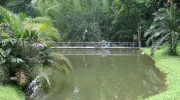 Gobernanza público-comunitaria, la clave para la protección de los humedales urbanos Gobernanza público-comunitaria, la clave para la protección de los humedales urbanos