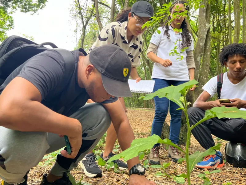Tesos por el Ambiente: formando líderes ambientales desde experiencias vivenciales Tesos por el Ambiente: formando líderes ambientales desde experiencias vivenciales