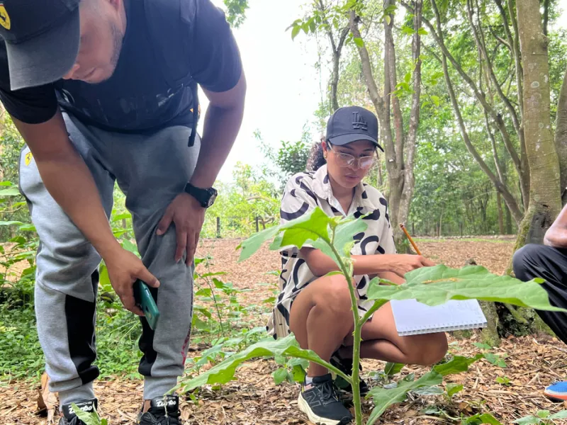 Tesos por el Ambiente: formando líderes ambientales desde experiencias vivenciales Tesos por el Ambiente: formando líderes ambientales desde experiencias vivenciales