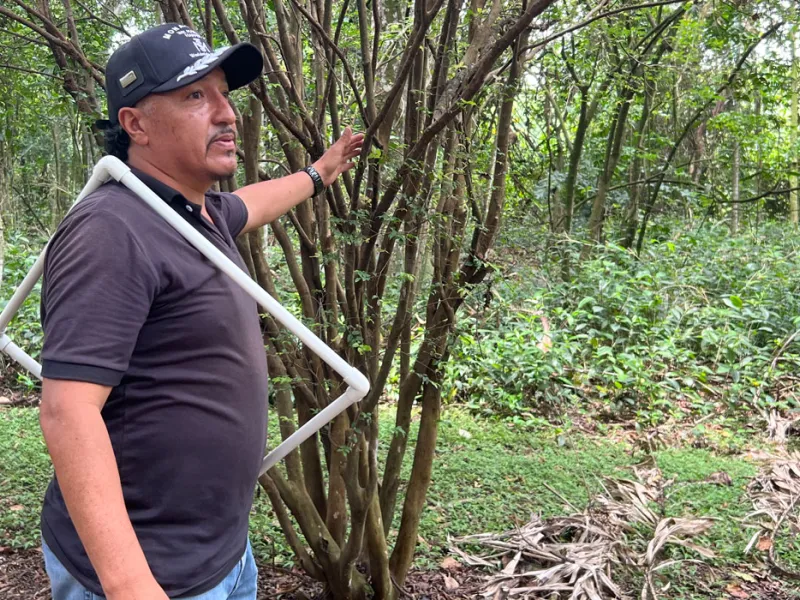 Tesos por el Ambiente: formando líderes ambientales desde experiencias vivenciales Tesos por el Ambiente: formando líderes ambientales desde experiencias vivenciales