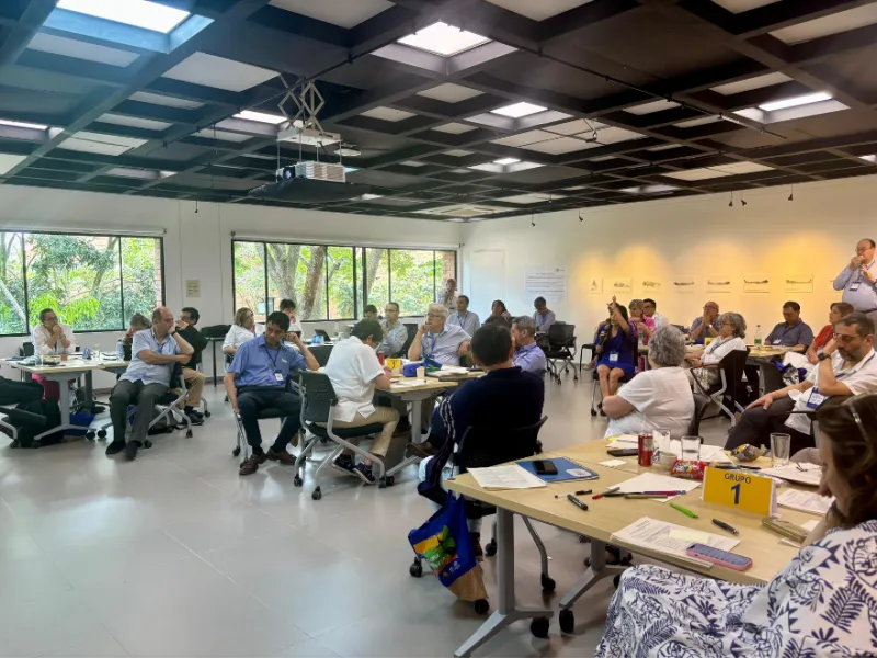 Planeación conjunta