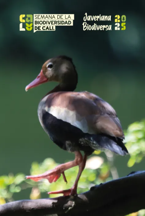 El reto de ponerle valor a la naturaleza: Javeriana Cali abrió reflexión durante la Semana de la Biodiversidad 2025