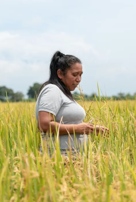autonomía económica territorial